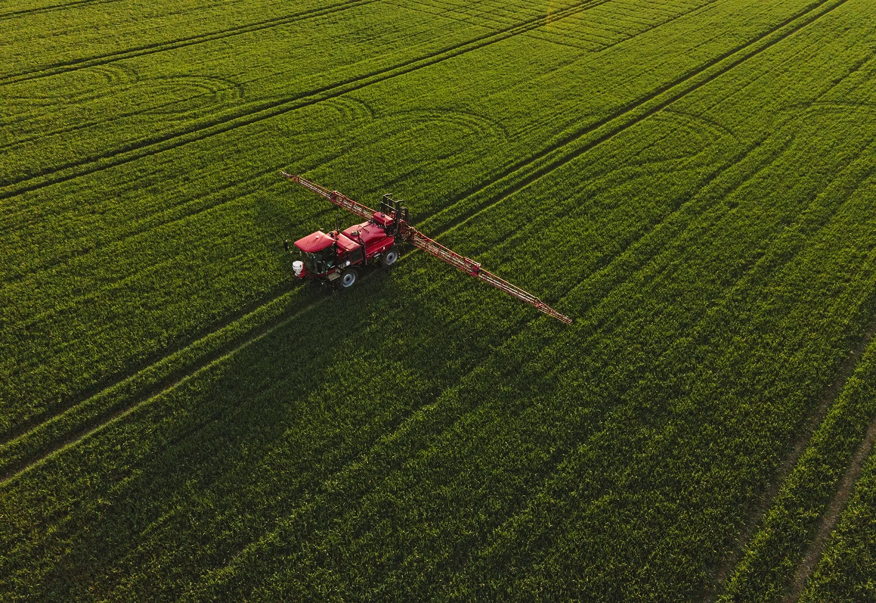 BASF - Revystar - Drone  - DJI_0266.jpg