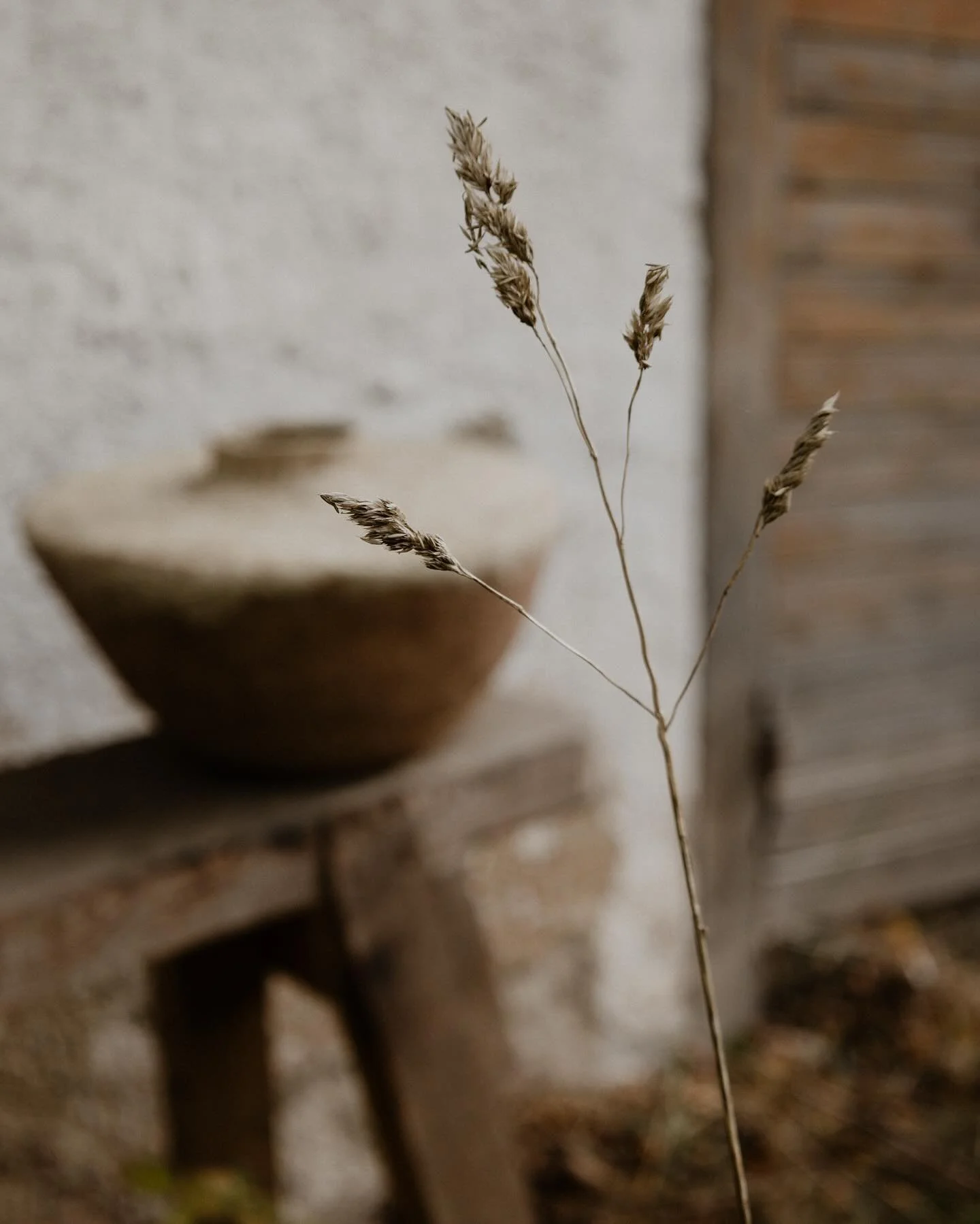 Varum&auml;rkesbilder f&ouml;r Studio Lerkompaniet

Hade n&ouml;jet att f&aring;nga dessa st&auml;mningsfulla &ouml;gonblick f&ouml;r Studio Lerkompaniet. Med fokus p&aring; jordn&auml;ra toner och autentiska detaljer skapade vi bilder som speglar ha