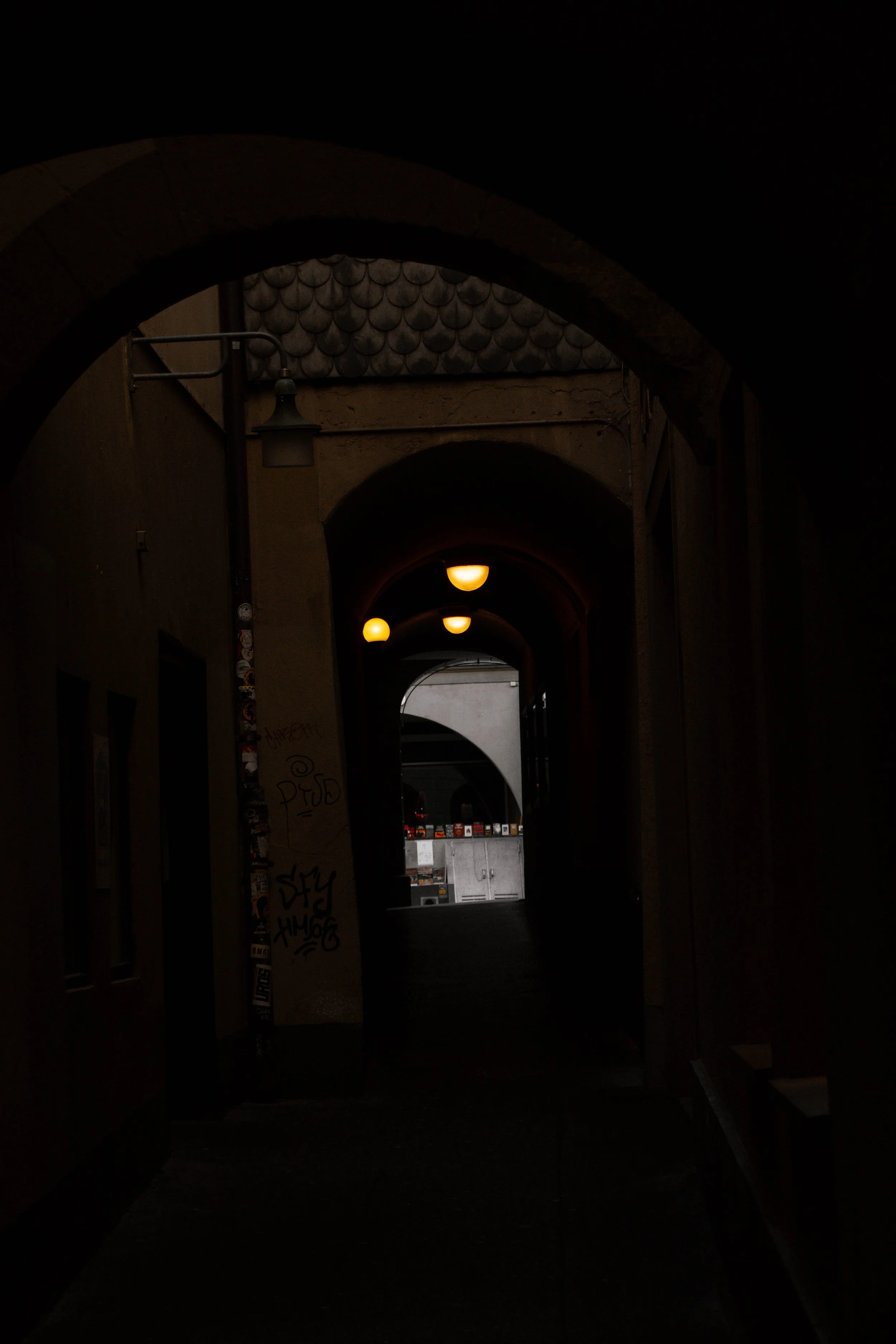 La perdida del IKIGAI