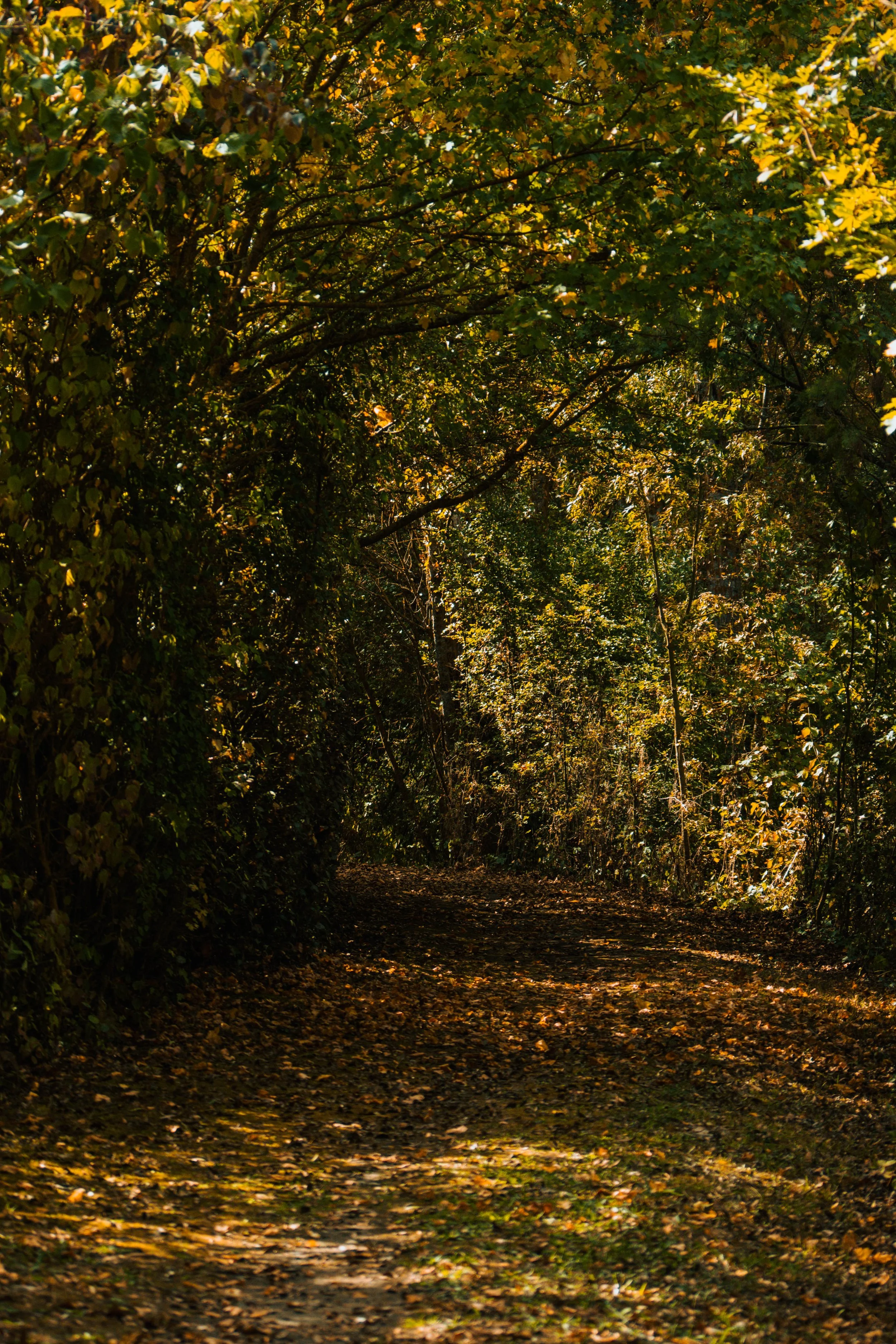 Tarde, pero a tiempo