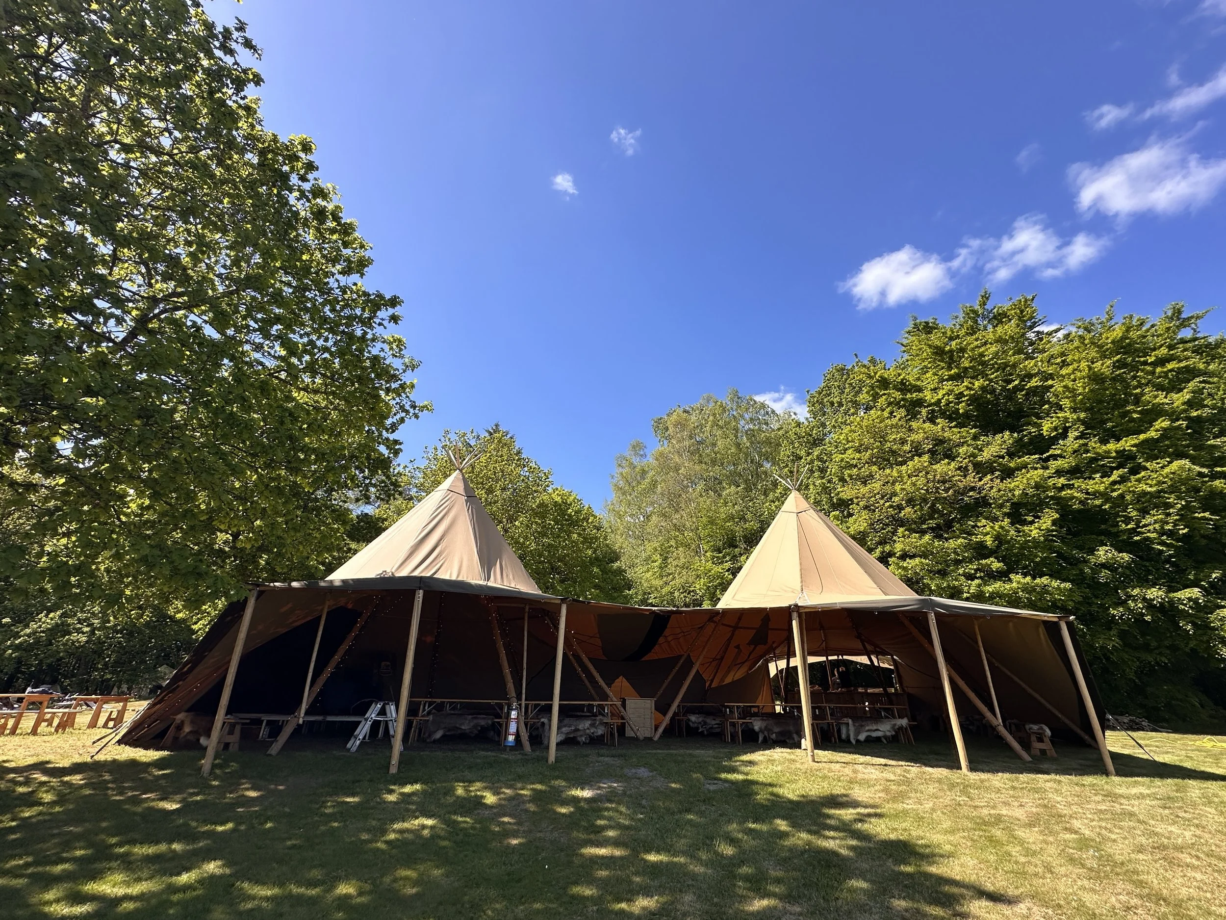 Billede 15.05.2025, 14.48.19.jpg