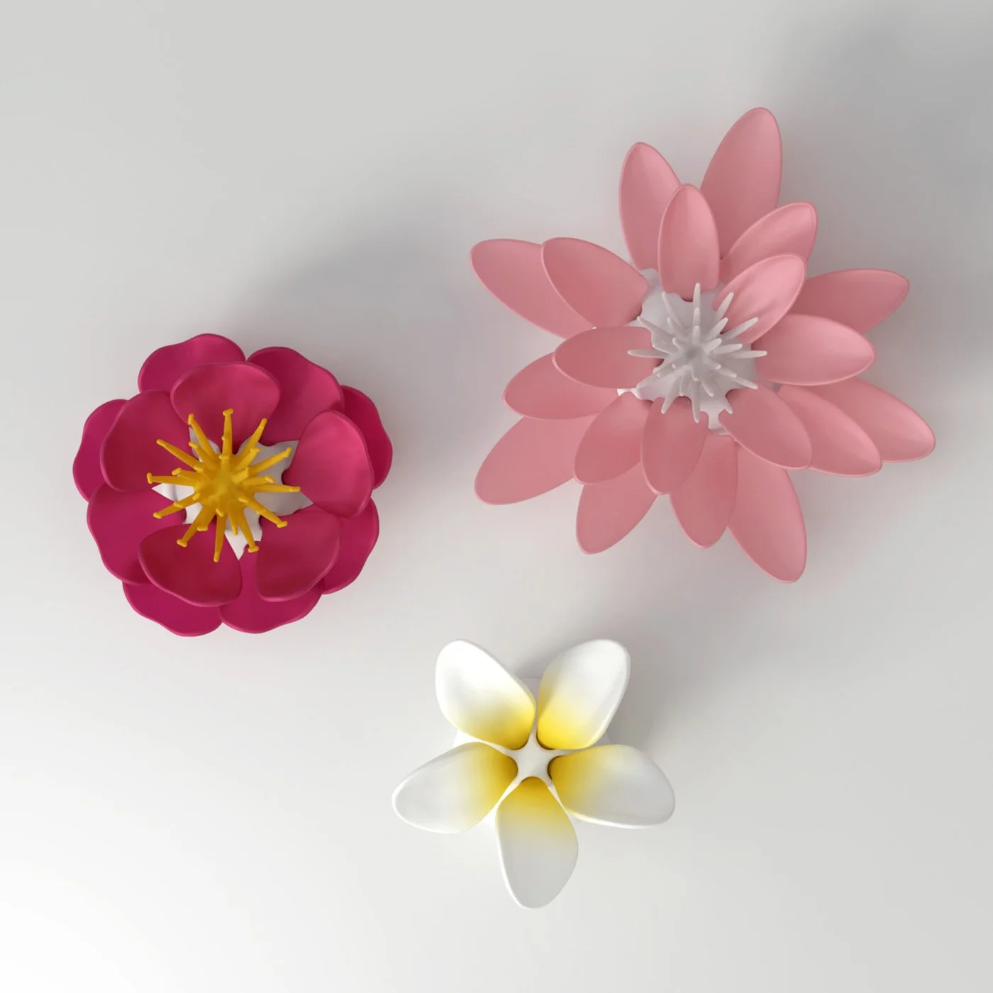Blossom