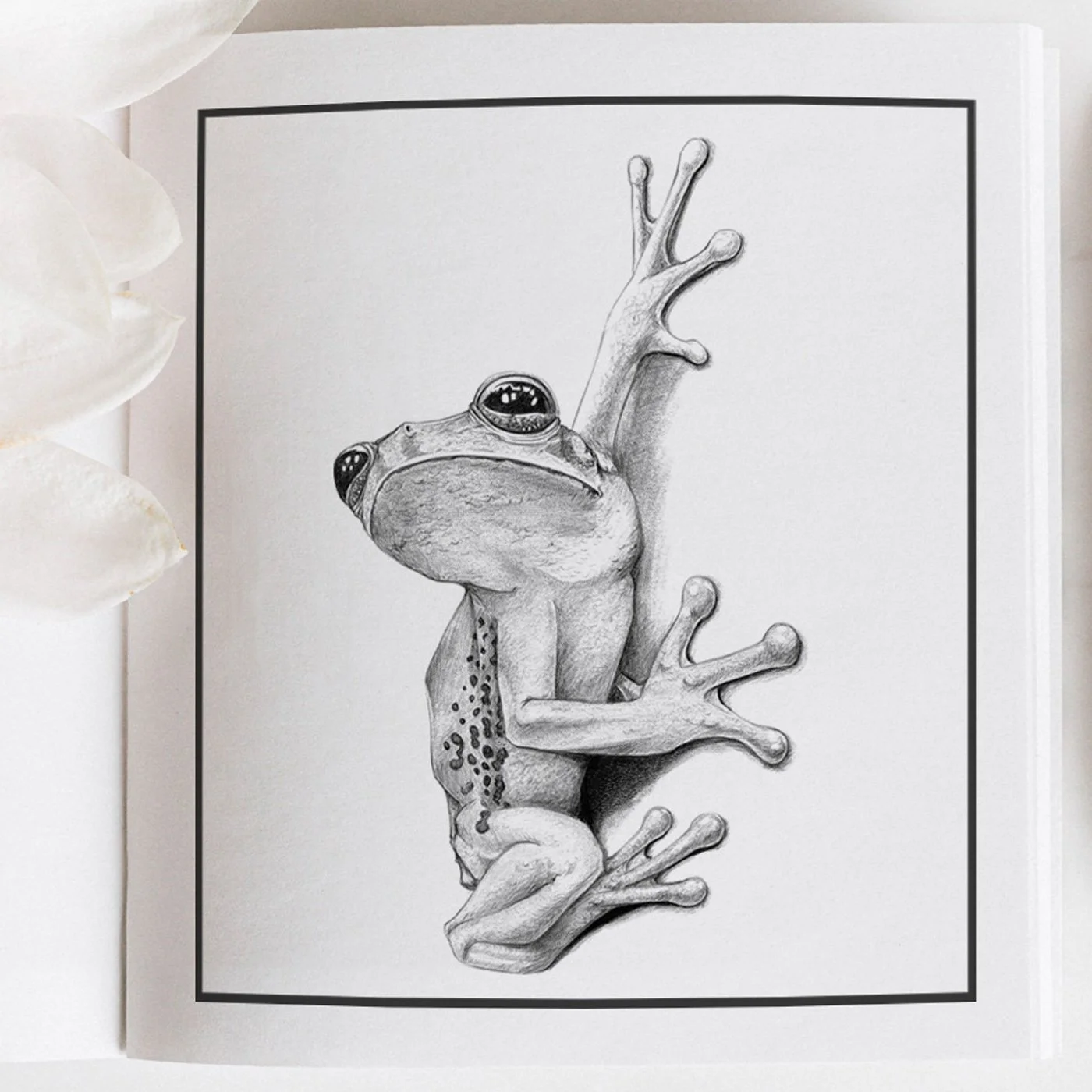 Drawings