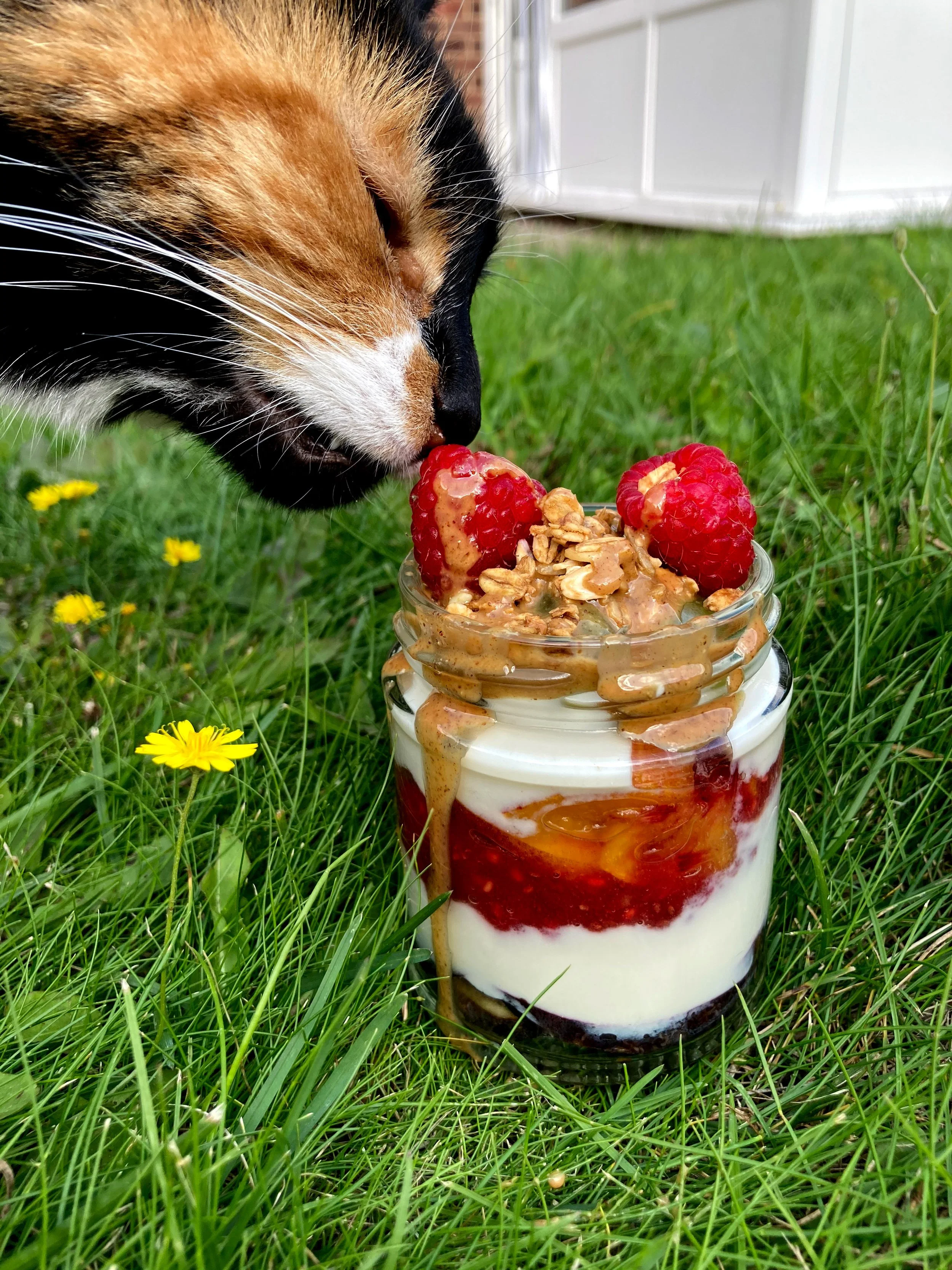 Raspberry-parfait.jpg