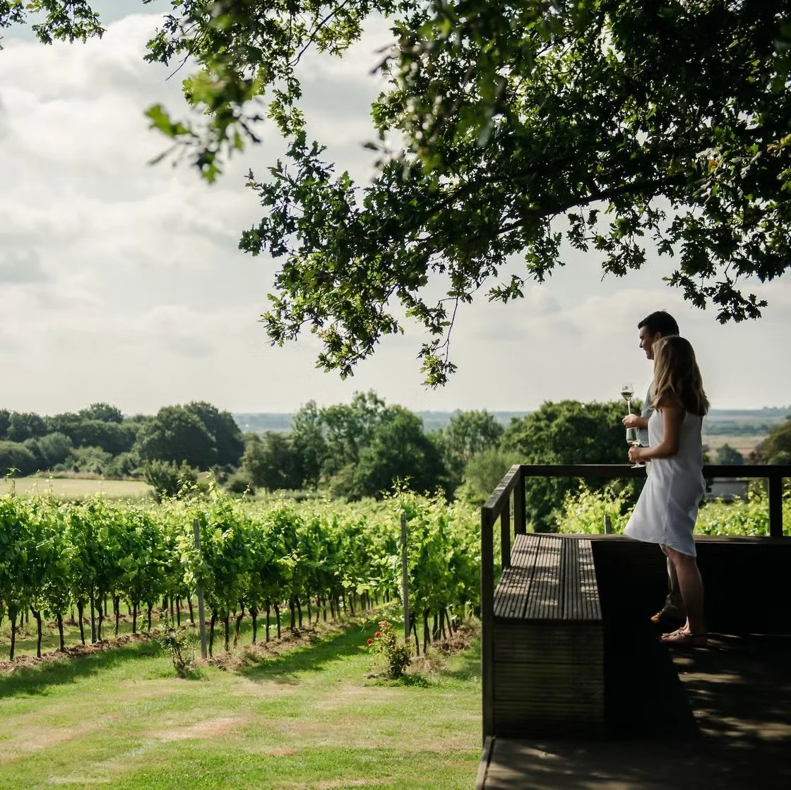 English Wine Week Events