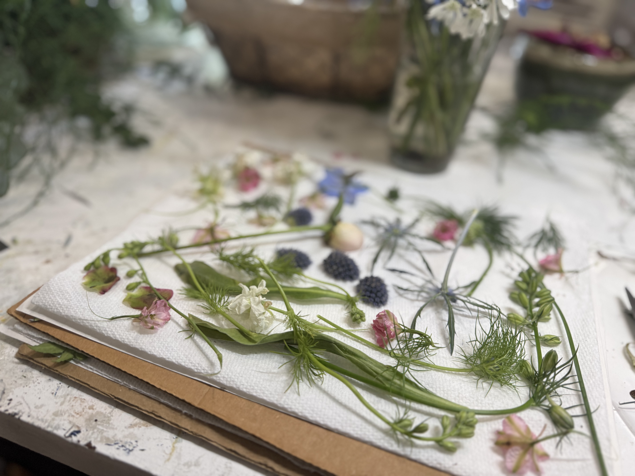 Pressed Art Botanical Workshop - Day 2