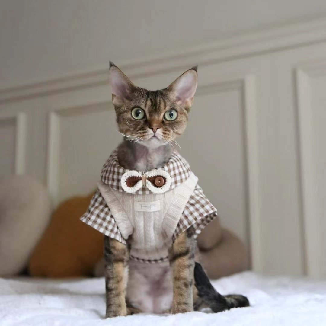 England-Style Sweater