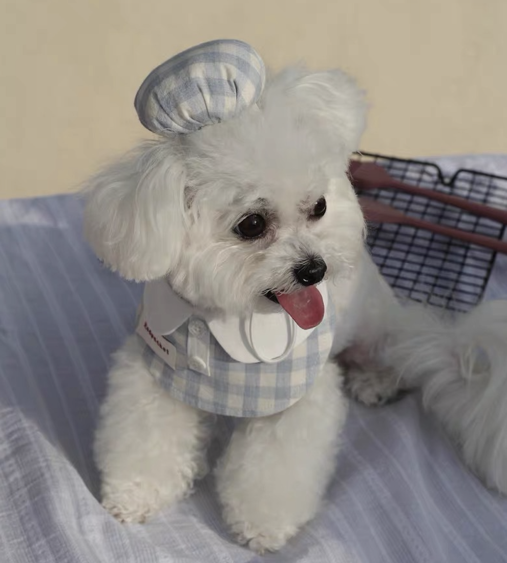 🥣 Little Chef Set Blue Gingham