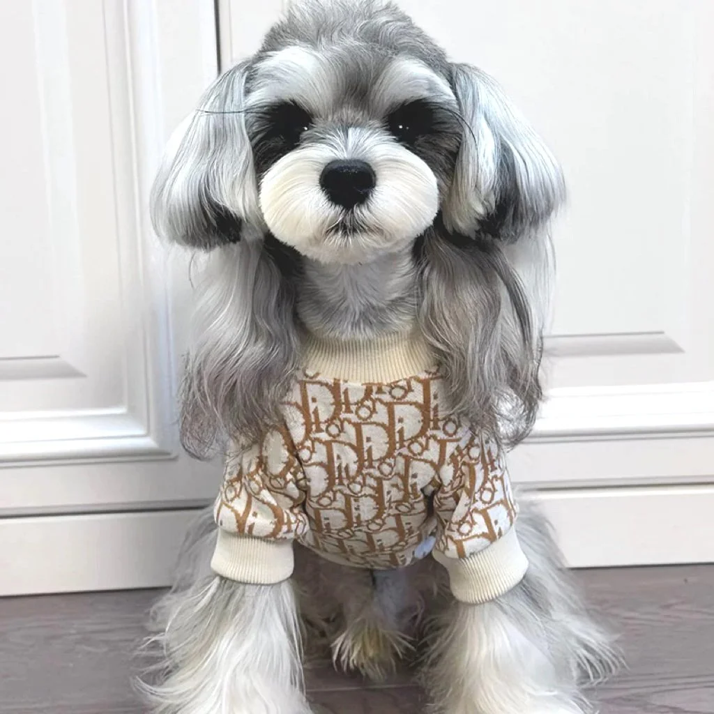 Dior-Style Winter Sweater