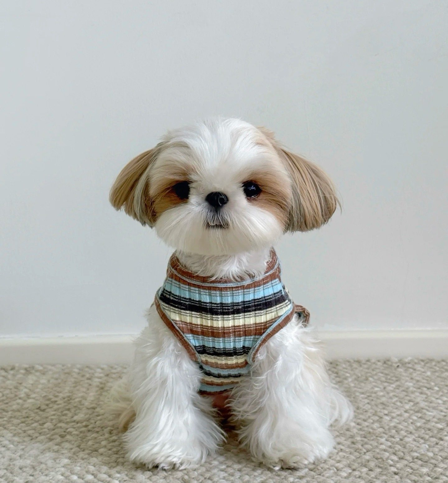 Milky Chestnut Little Shirt