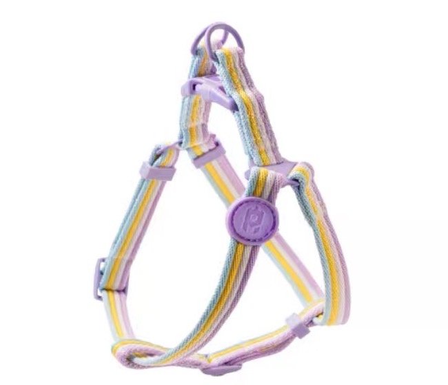 Matisse Purple Harness