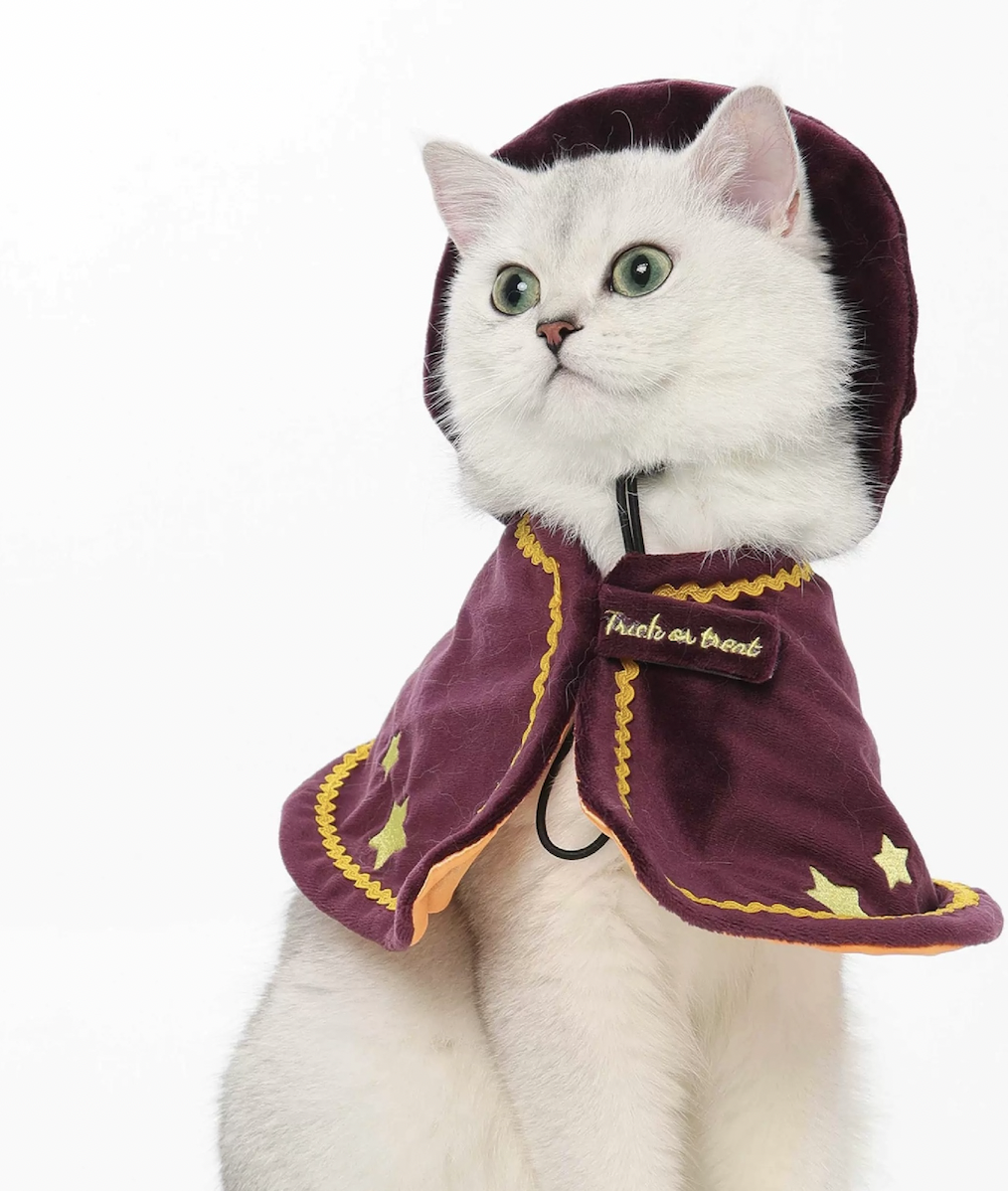 Screen Shot 2025-09-26 at 23.49.01.png