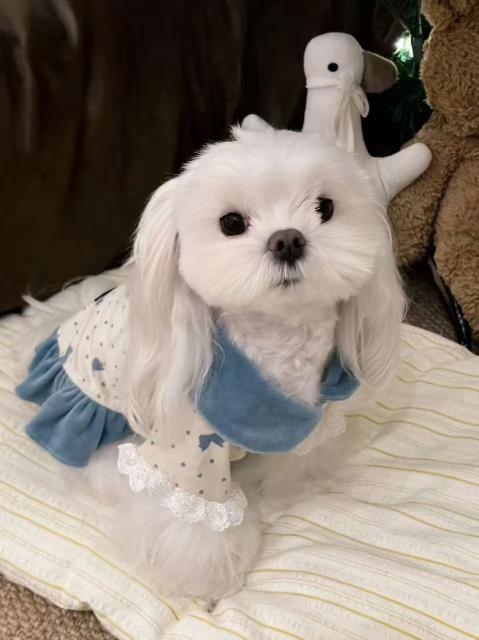 Bluebell Corduroy Pyjama