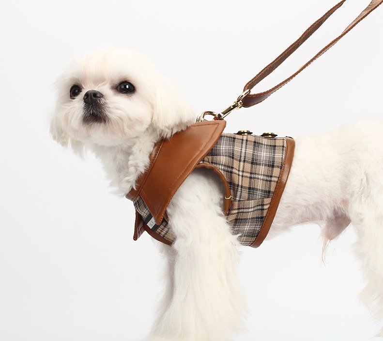Wilson Harness