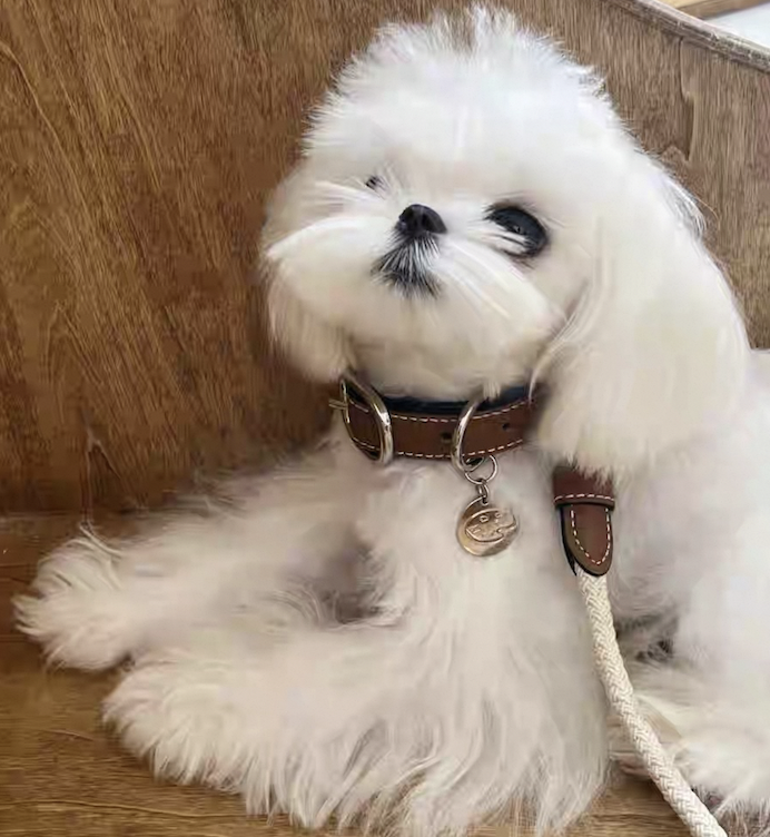 Screen Shot 2025-09-26 at 22.37.41.png