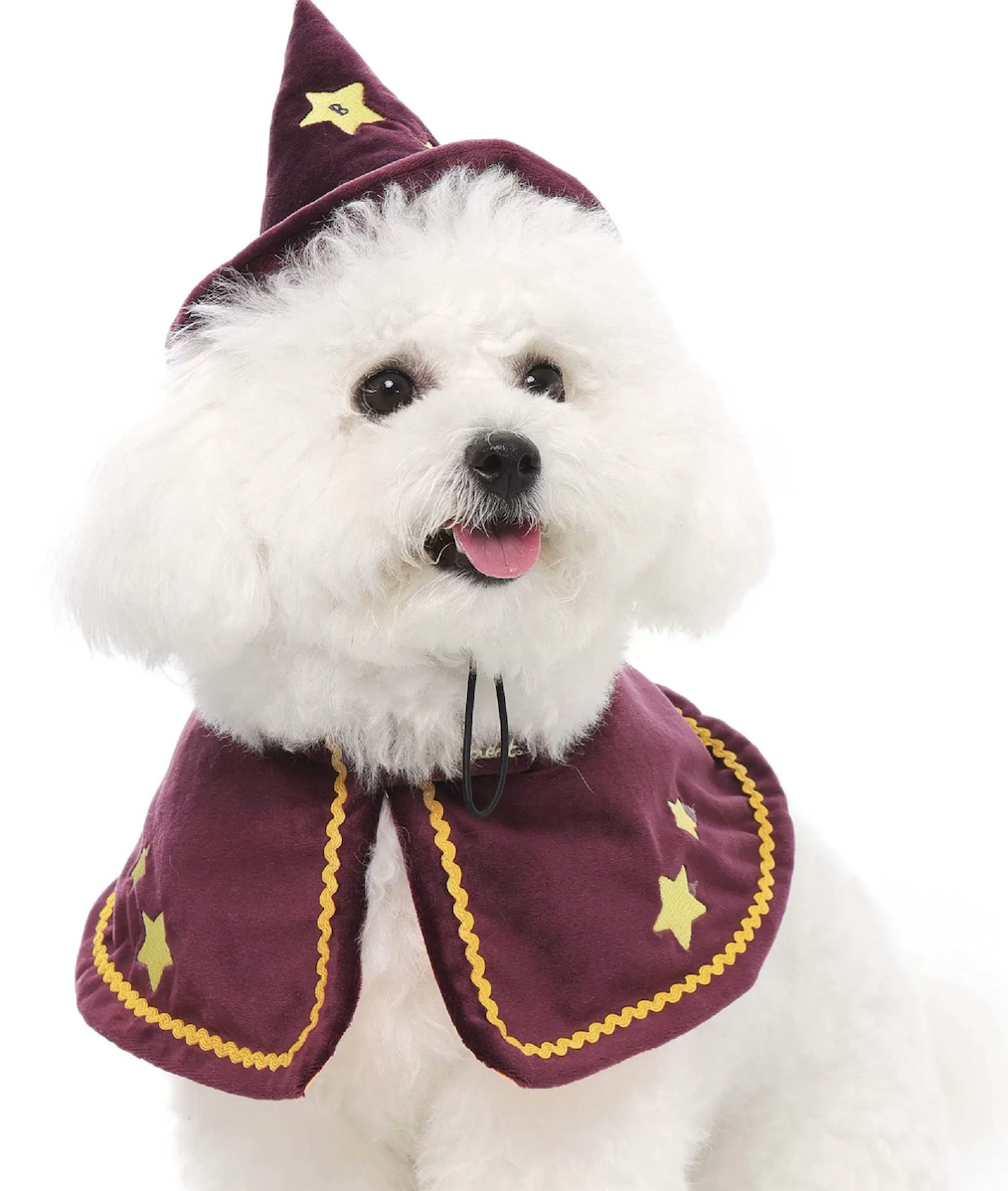 Screen Shot 2025-09-26 at 23.48.54.png