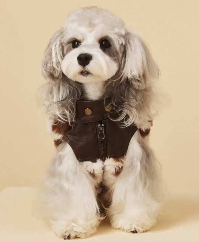 Leather Shearling Vest