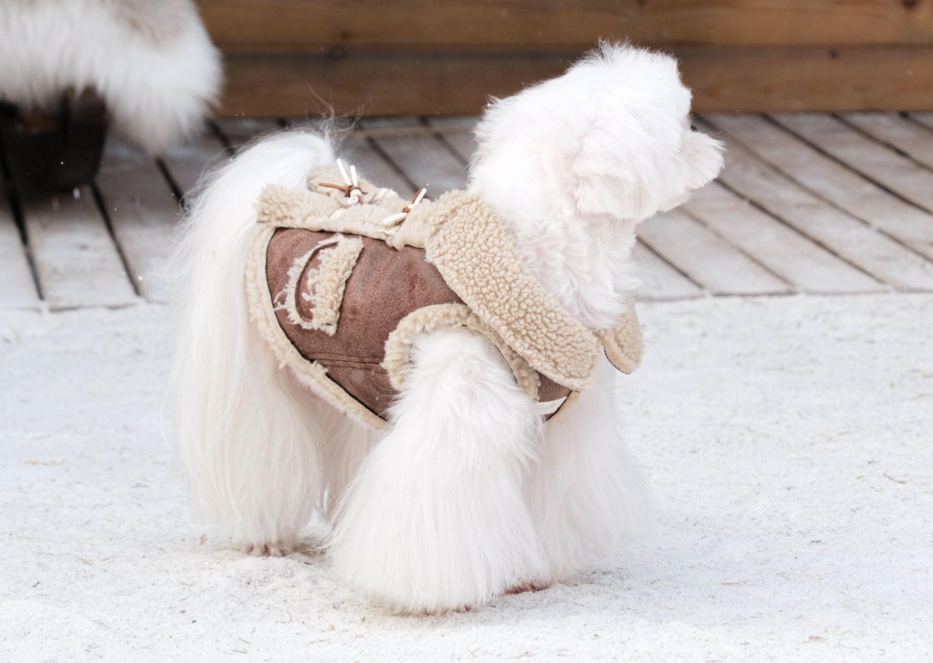 Fur Fleece Luxury Jacket