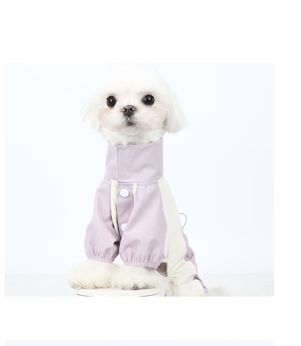 Lilac Windproof Raincoat