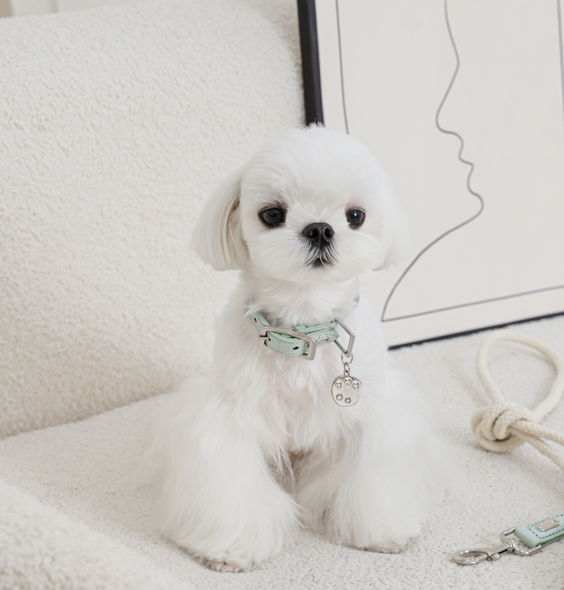 Screen Shot 2025-09-26 at 22.41.45.png