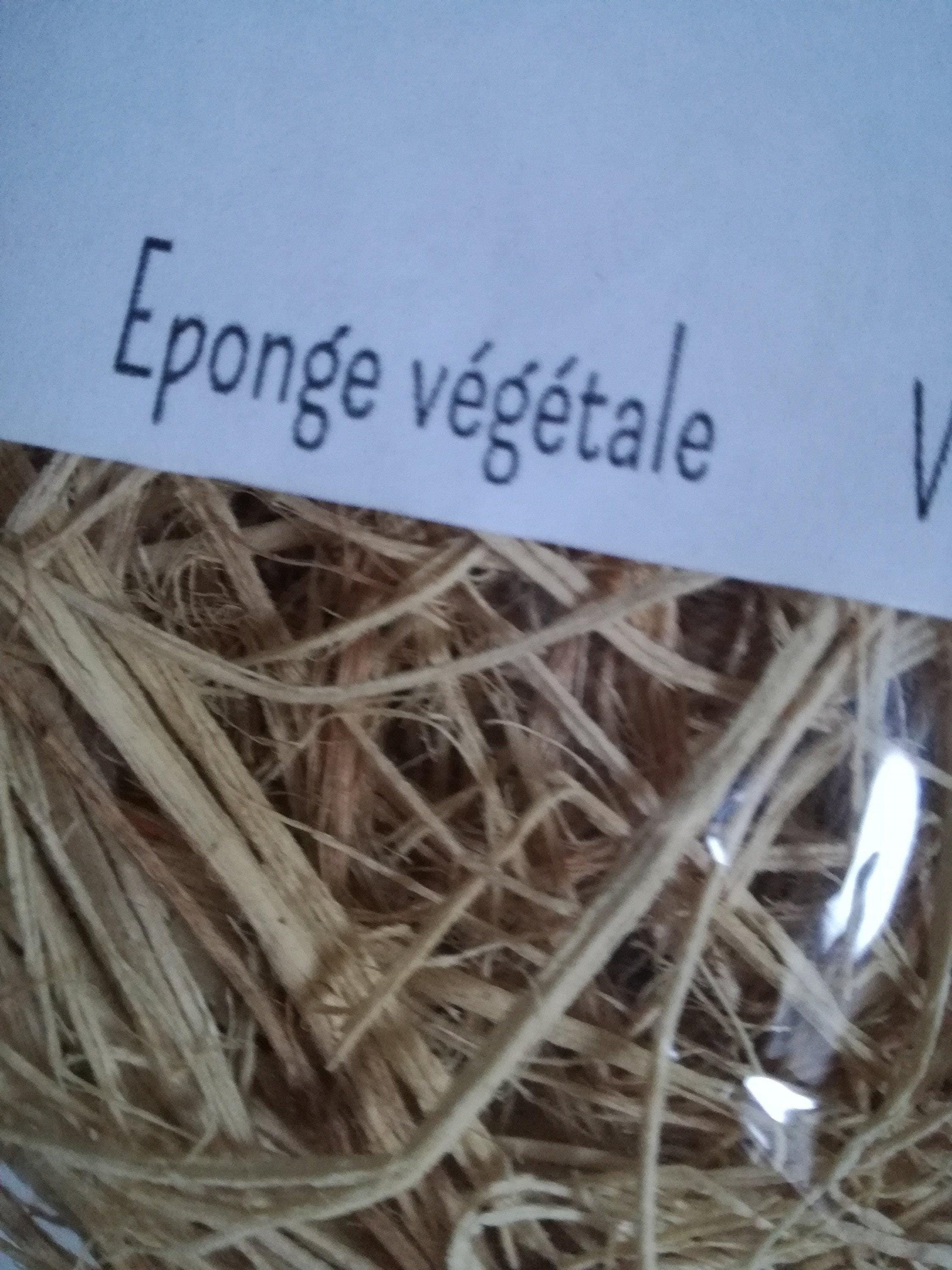 https://i.etsystatic.com/25175569/r/il/1c9530/6349872102/il_fullxfull.6349872102_blj2.jpg
