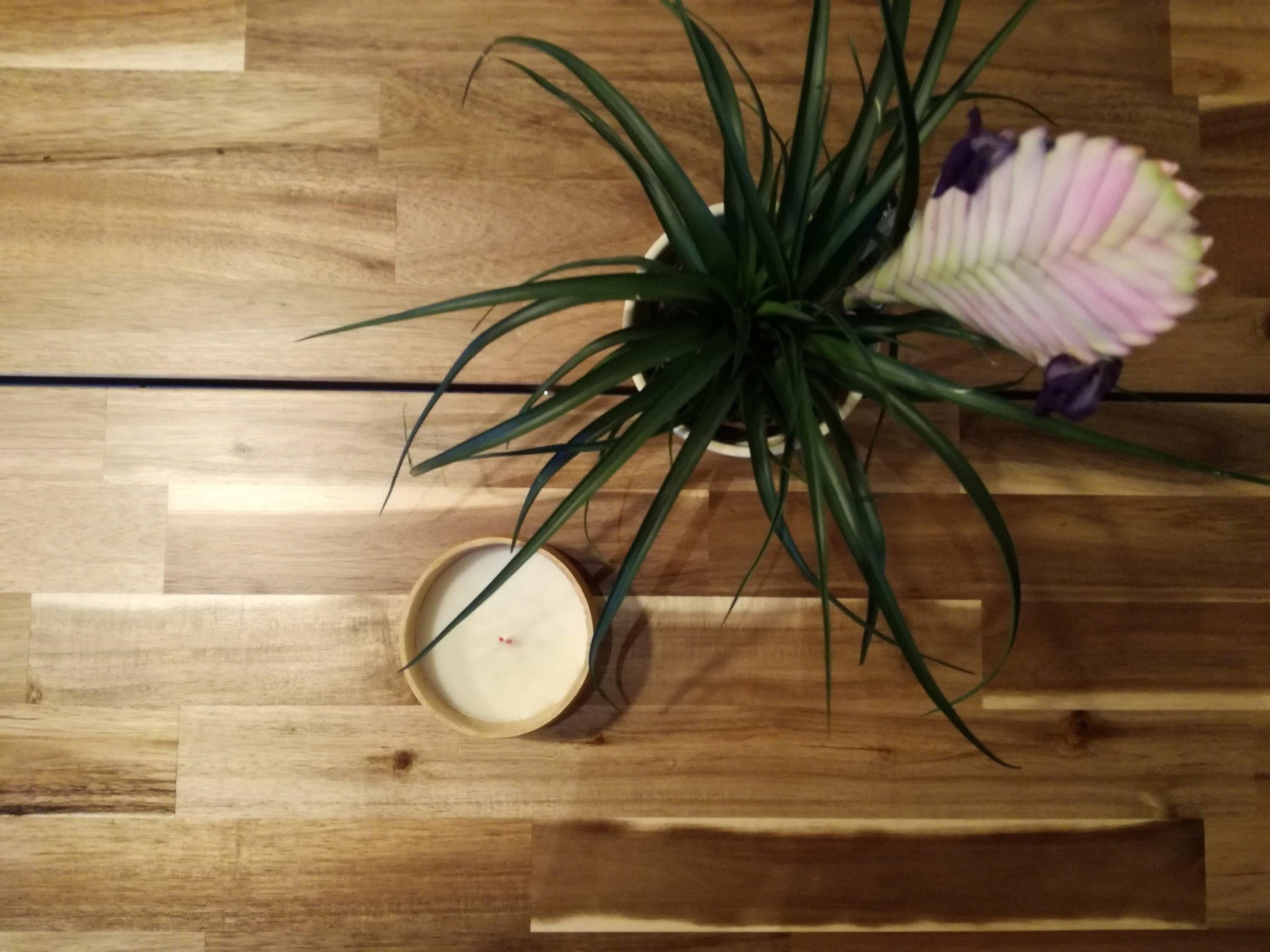 https://i.etsystatic.com/25175569/r/il/c9cebb/6349830022/il_fullxfull.6349830022_5miy.jpg