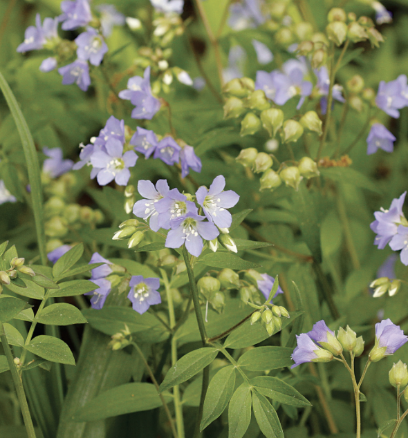 Screenshot 2026-01-15 at 3.18.21 PM.png