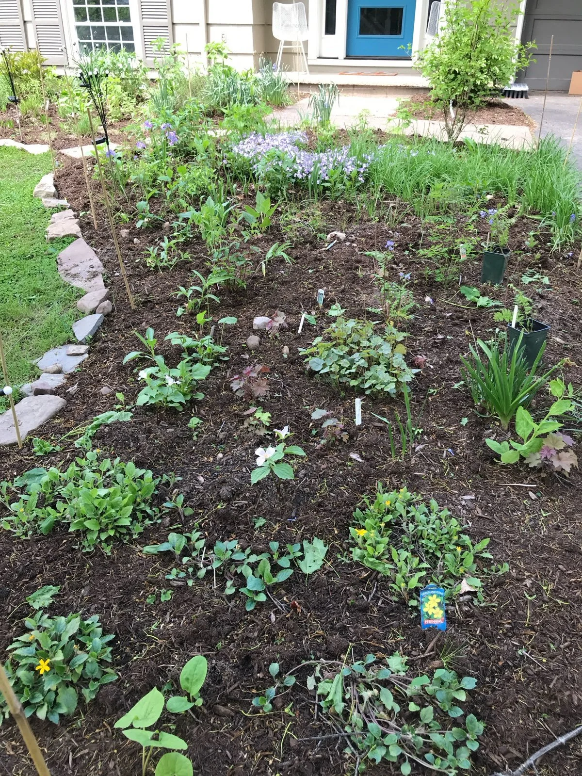 A garden bed with young plants and green foliage, bordered by stones on the left, with mulch covering the soil and plant markers visible among the plants.