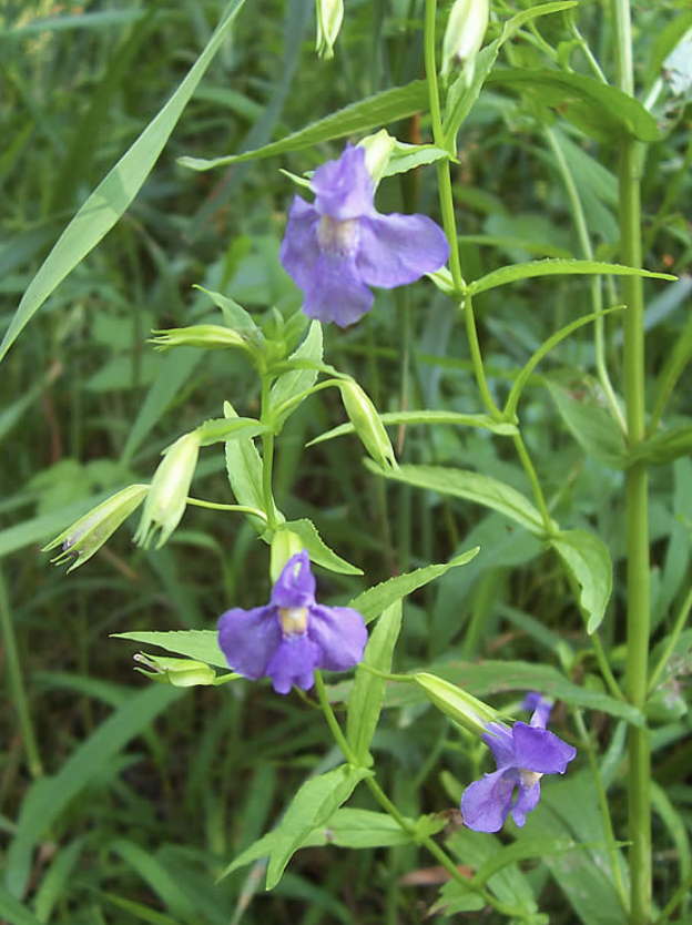 Screenshot 2025-12-29 at 3.28.02 PM.png