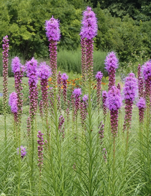 Screenshot 2026-01-09 at 5.14.18 PM.png