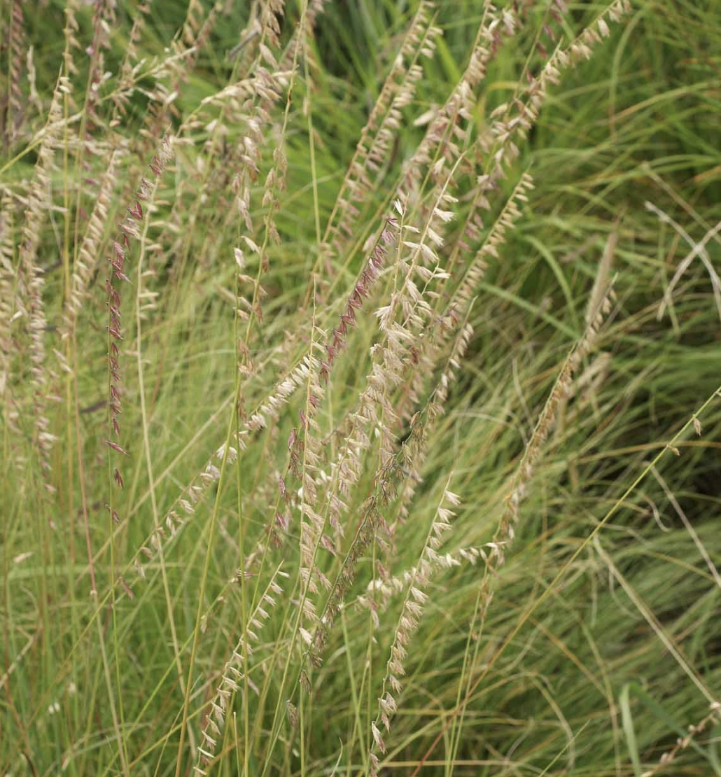 Screenshot 2025-12-31 at 1.57.59 PM.png