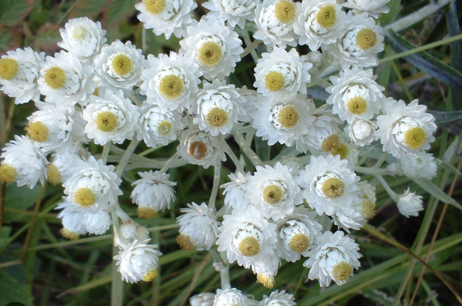 Screenshot 2025-12-28 at 9.36.09 PM.png