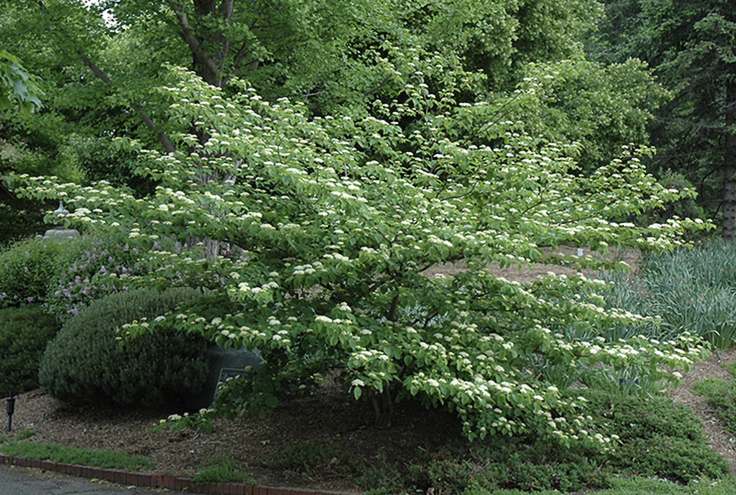 Screenshot 2026-01-25 at 2.28.02 PM.png