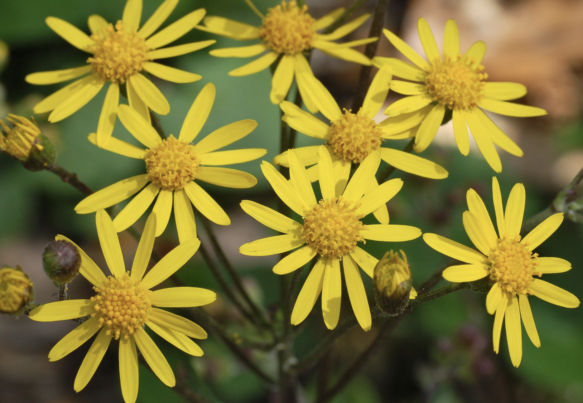 Screenshot 2025-12-29 at 7.38.35 PM.png