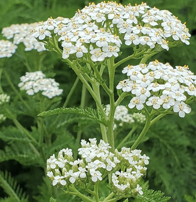 Screenshot 2025-12-28 at 7.26.08 PM.png