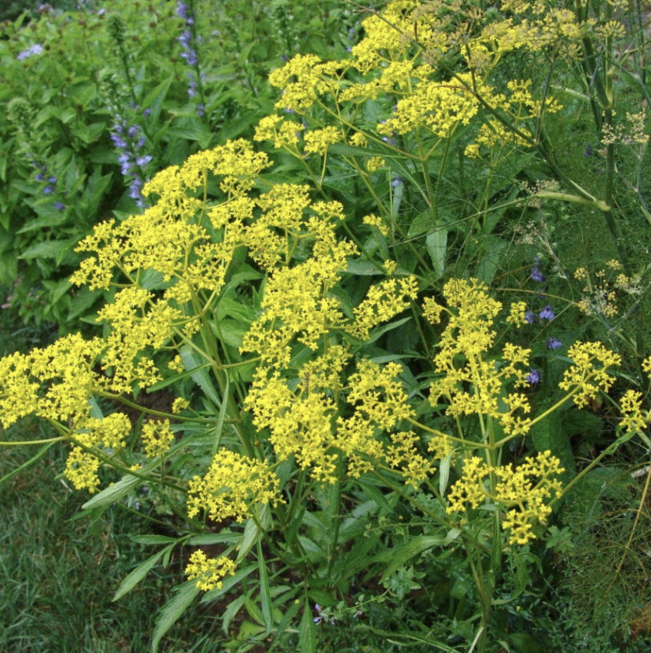 Screenshot 2025-12-30 at 12.18.56 PM.png