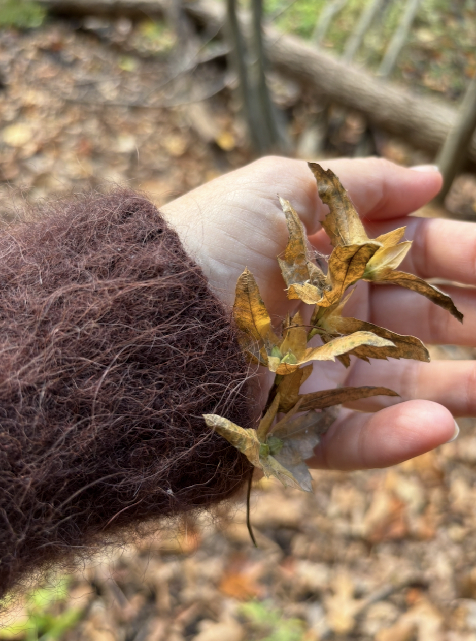 A hand in a fuzzy brown sleeve holds a small bunch of yellowed autumn leaves, with a blurred forest floor in the background.
