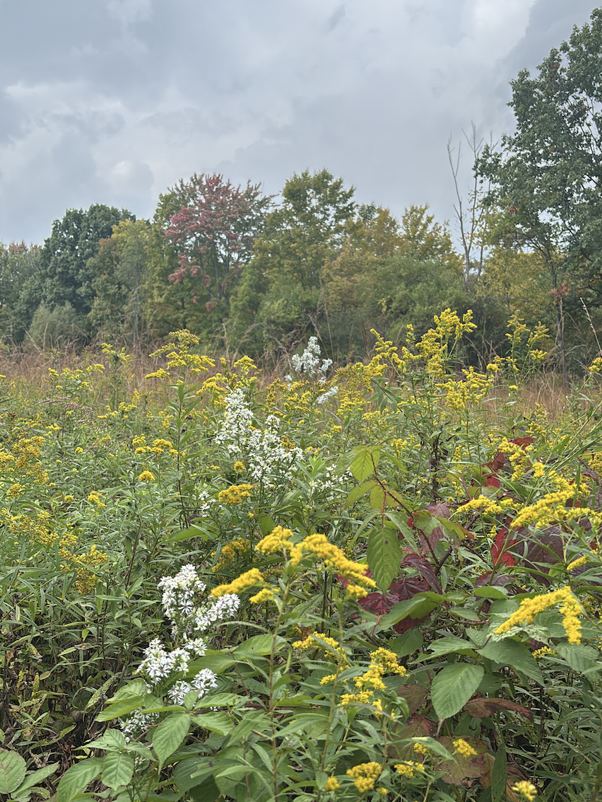 Screenshot 2026-01-20 at 10.16.15 AM.png