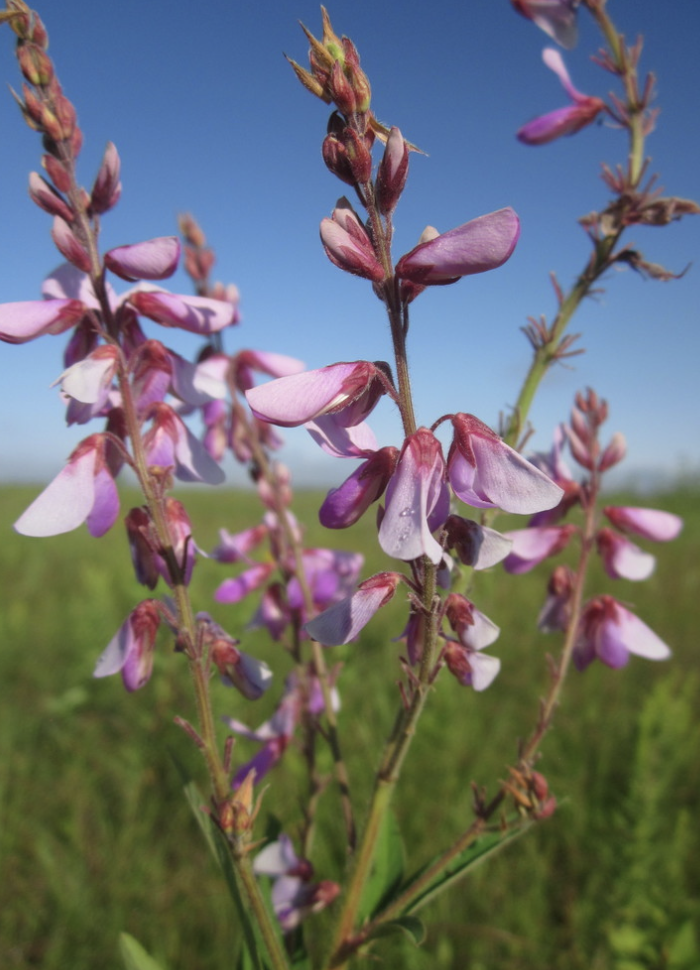 Screenshot 2025-12-29 at 9.28.52 AM.png