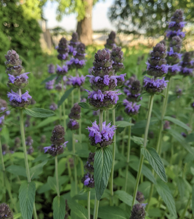 Screenshot 2025-12-28 at 9.30.42 PM.png