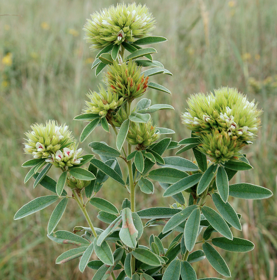 Screenshot 2025-12-31 at 1.11.25 PM.png