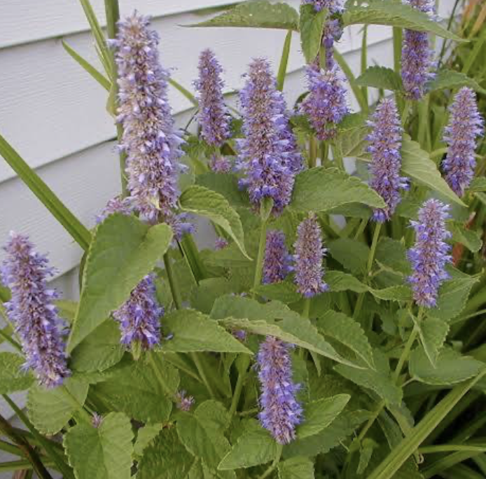 Screenshot 2025-12-28 at 7.30.14 PM.png