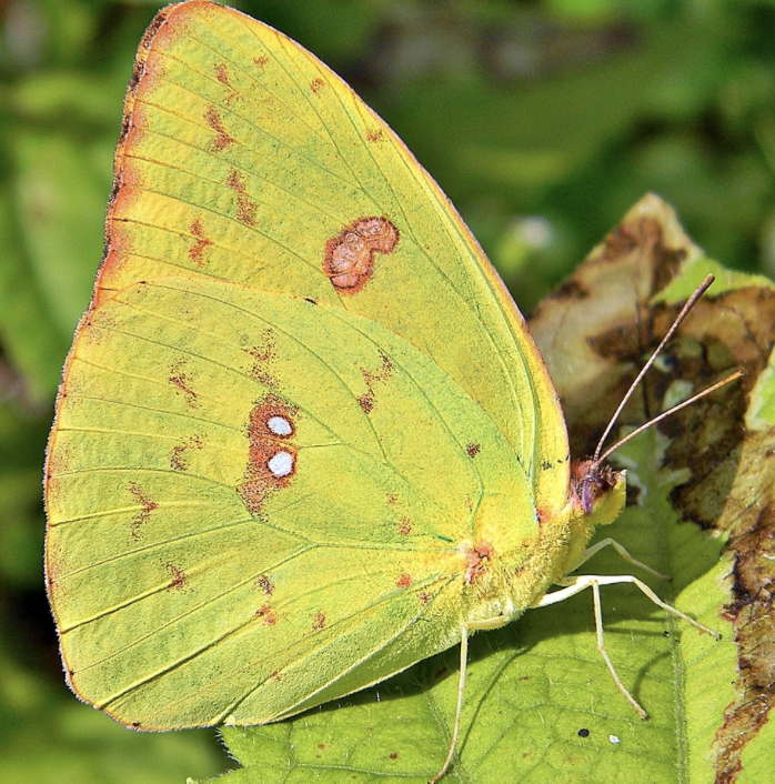 Screenshot 2026-01-20 at 8.34.28 AM.png