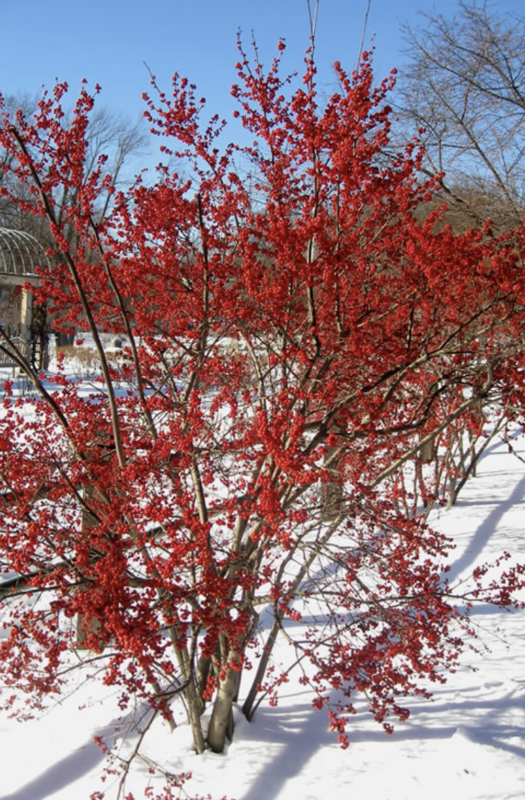 Screenshot 2026-01-28 at 5.06.54 PM.png