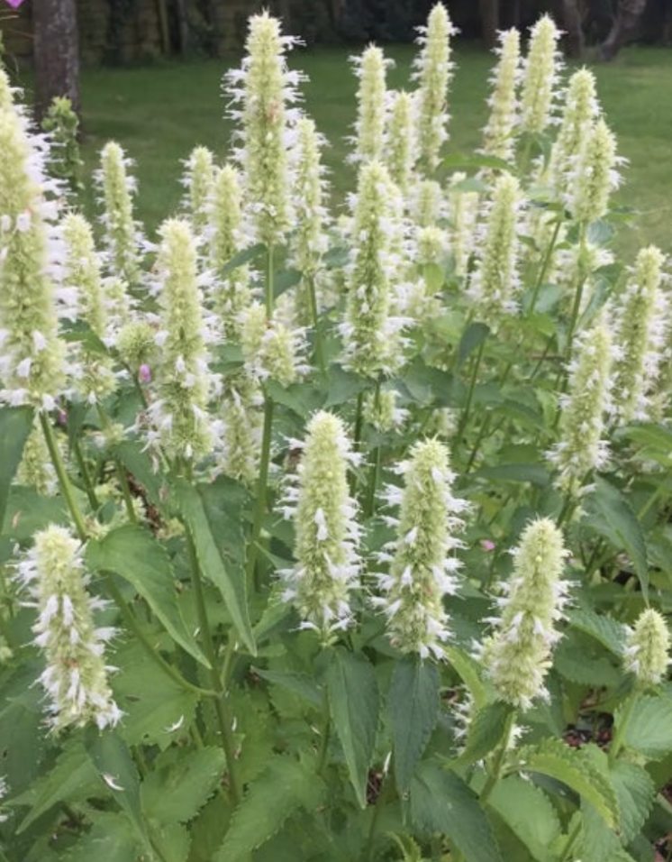 Screenshot 2025-12-28 at 7.39.20 PM.png