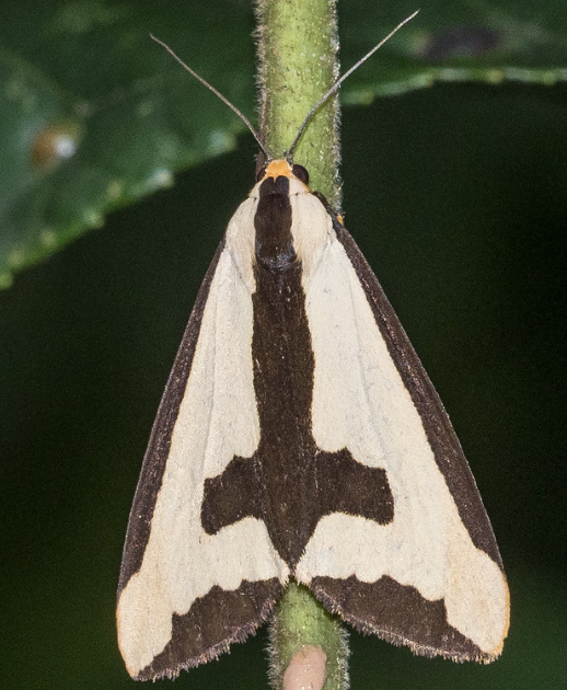 Screenshot 2026-01-07 at 12.40.25 PM.png