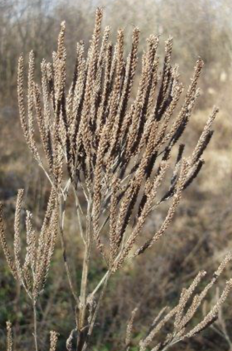 Screenshot 2026-01-20 at 11.34.14 AM.png