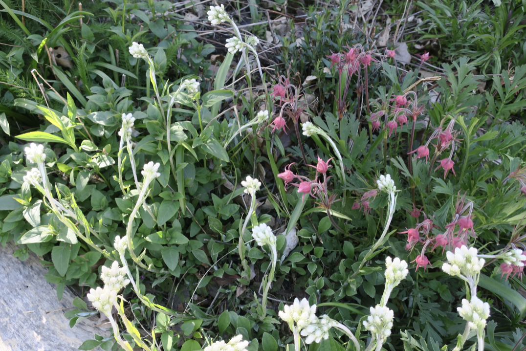 Screenshot 2026-01-02 at 4.33.33 PM.png