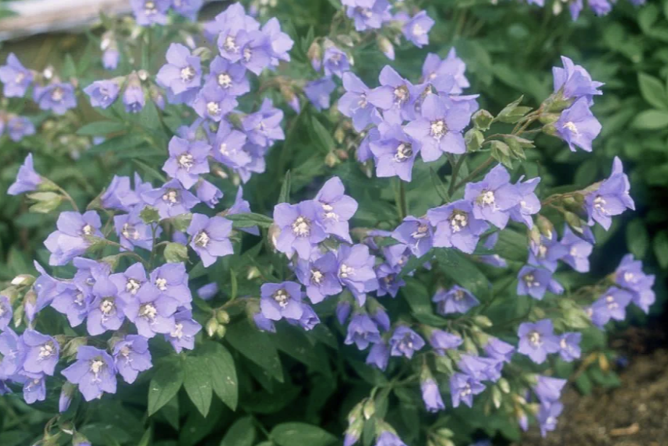 Screenshot 2025-12-29 at 8.28.19 PM.png