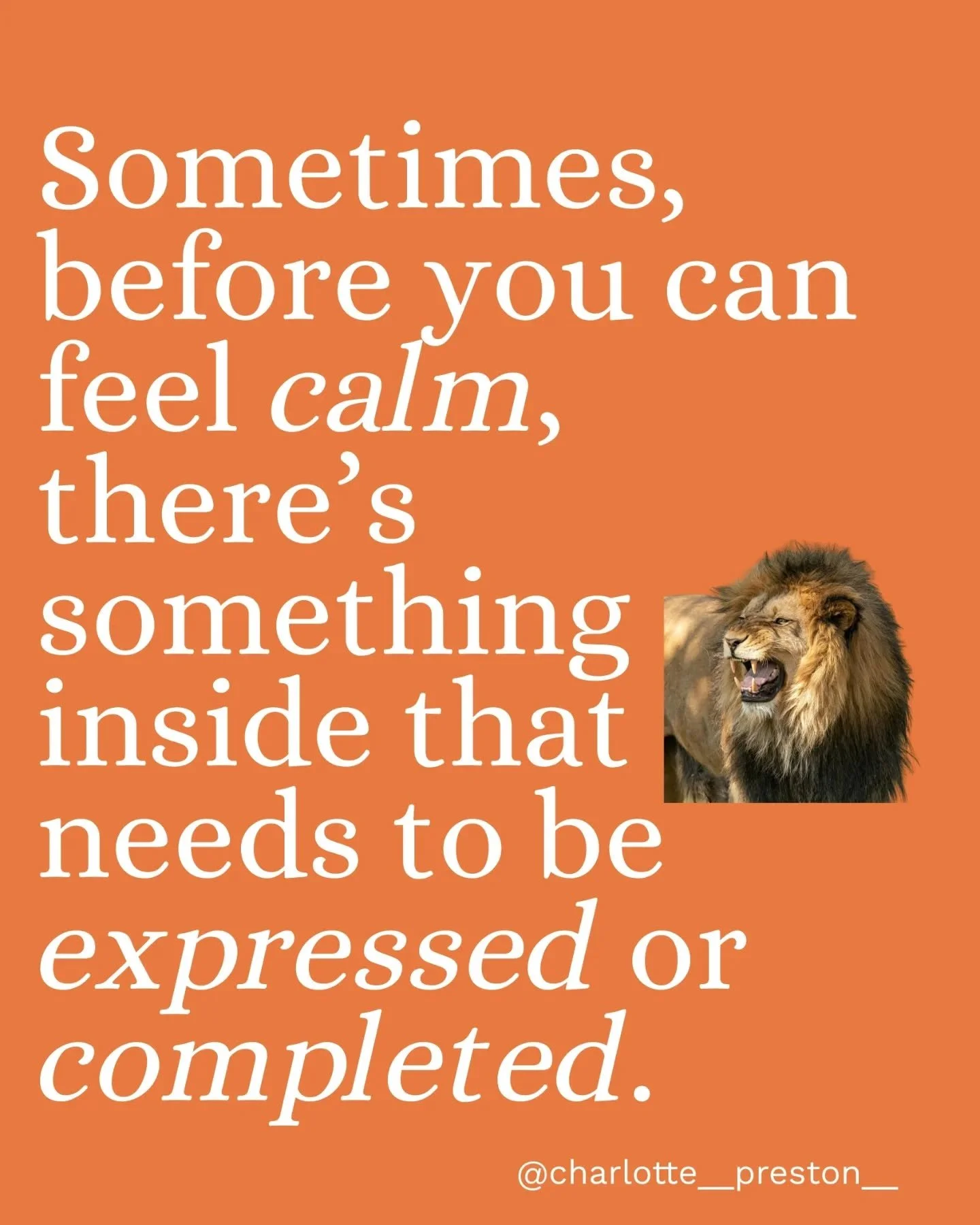 In Somatic Experiencing therapy, we approach this&nbsp;gradually.
We call it&nbsp;titration&nbsp;- working with just the right&nbsp;dosage&nbsp;of sensation or emotion, so your nervous system isn't overwhelmed.

What&rsquo;s been buried was likely bu